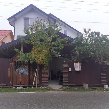 Casa Denisa Vidraru Transfgarasan Hotel Căpăţîneni-Ungureni Buitenkant foto