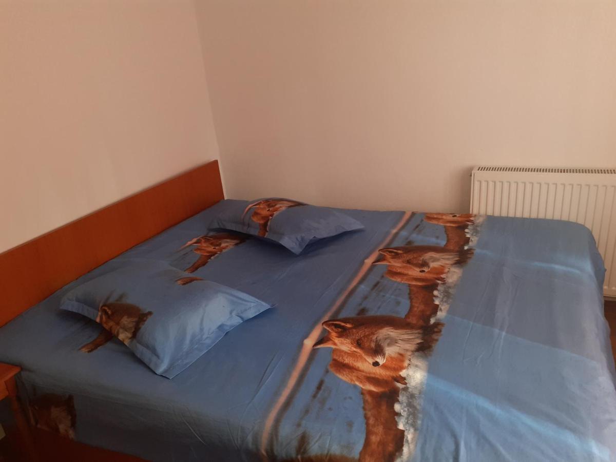 Casa Denisa Vidraru Transfgarasan Hotel Căpăţîneni-Ungureni Buitenkant foto