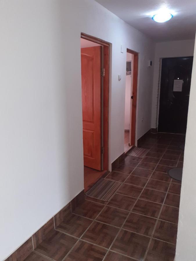 Casa Denisa Vidraru Transfgarasan Hotel Căpăţîneni-Ungureni Buitenkant foto