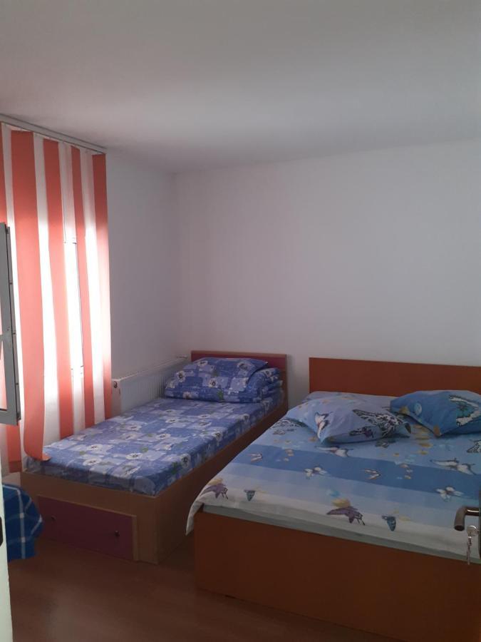 Casa Denisa Vidraru Transfgarasan Hotel Căpăţîneni-Ungureni Buitenkant foto