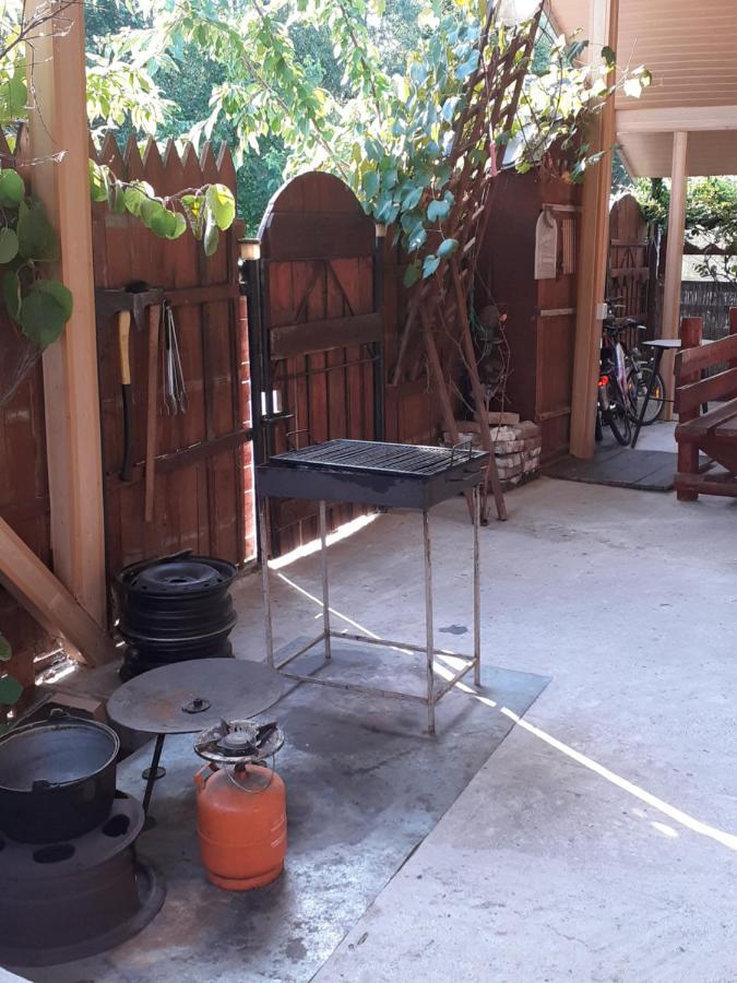 Casa Denisa Vidraru Transfgarasan Hotel Căpăţîneni-Ungureni Buitenkant foto