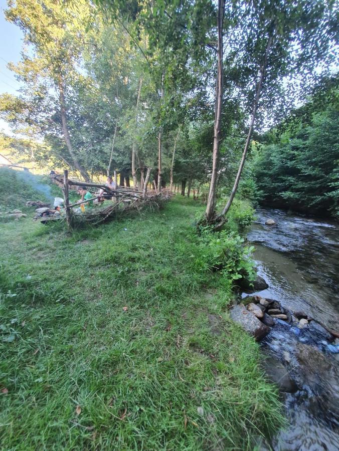 Casa Denisa Vidraru Transfgarasan Hotel Căpăţîneni-Ungureni Buitenkant foto