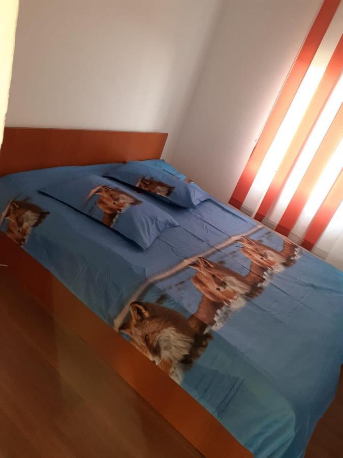 Casa Denisa Vidraru Transfgarasan Hotel Căpăţîneni-Ungureni Buitenkant foto