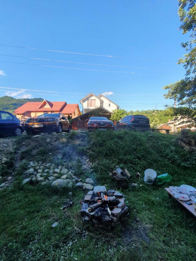 Casa Denisa Vidraru Transfgarasan Hotel Căpăţîneni-Ungureni Buitenkant foto
