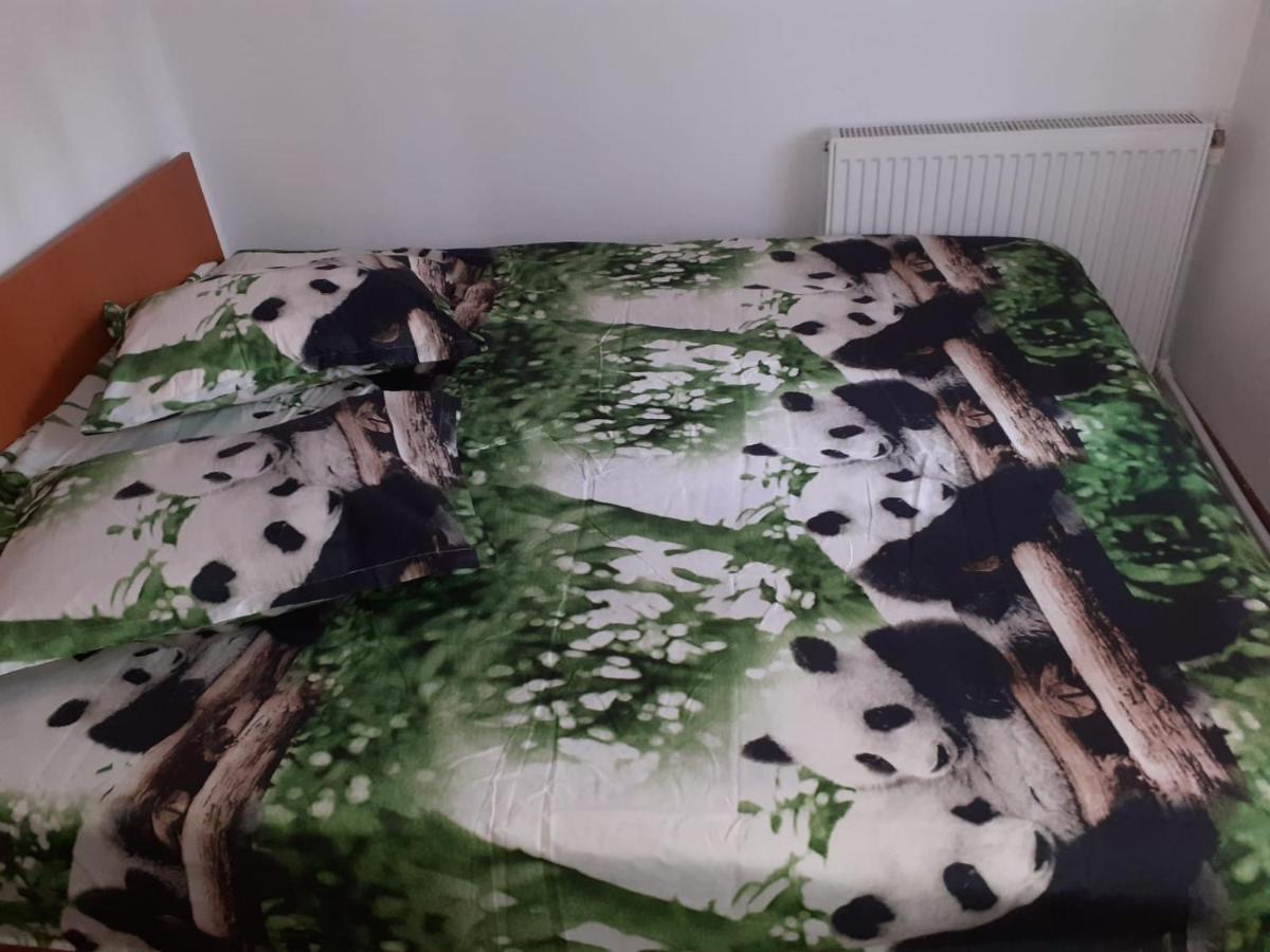 Casa Denisa Vidraru Transfgarasan Hotel Căpăţîneni-Ungureni Buitenkant foto