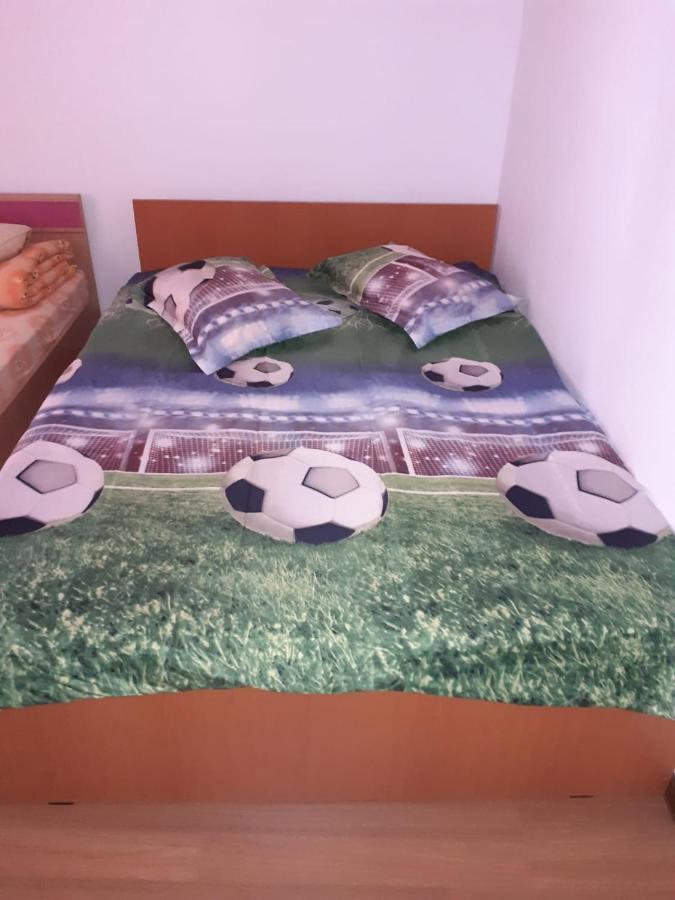 Casa Denisa Vidraru Transfgarasan Hotel Căpăţîneni-Ungureni Buitenkant foto