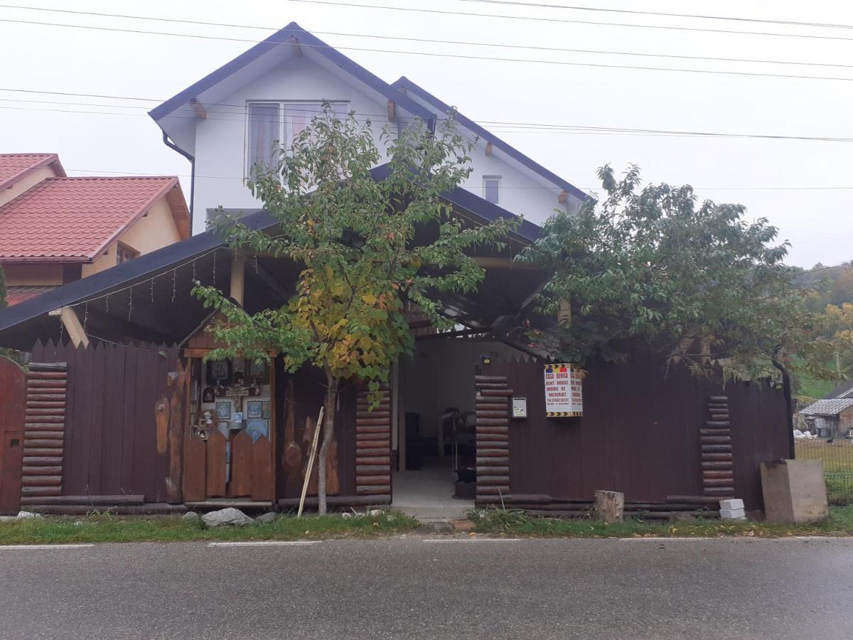 Casa Denisa Vidraru Transfgarasan Hotel Căpăţîneni-Ungureni Buitenkant foto