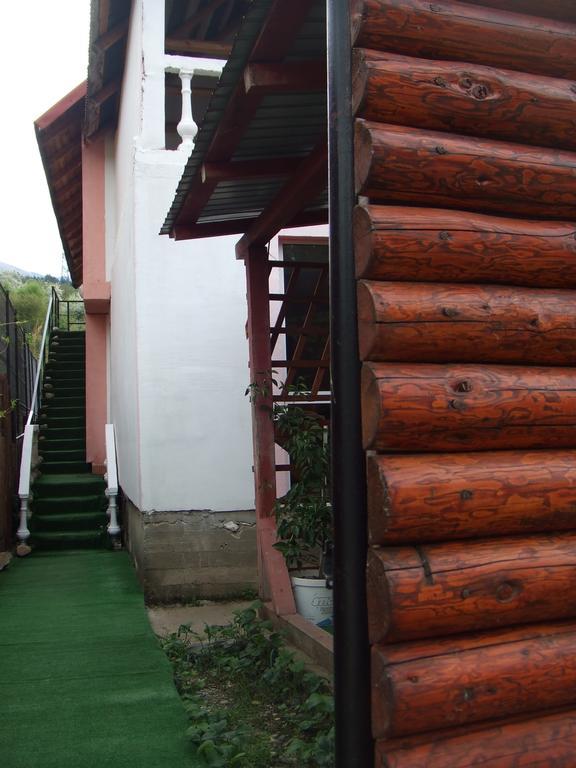 Casa Denisa Vidraru Transfgarasan Hotel Căpăţîneni-Ungureni Buitenkant foto
